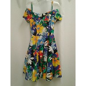 Pinup style swing dress vlv